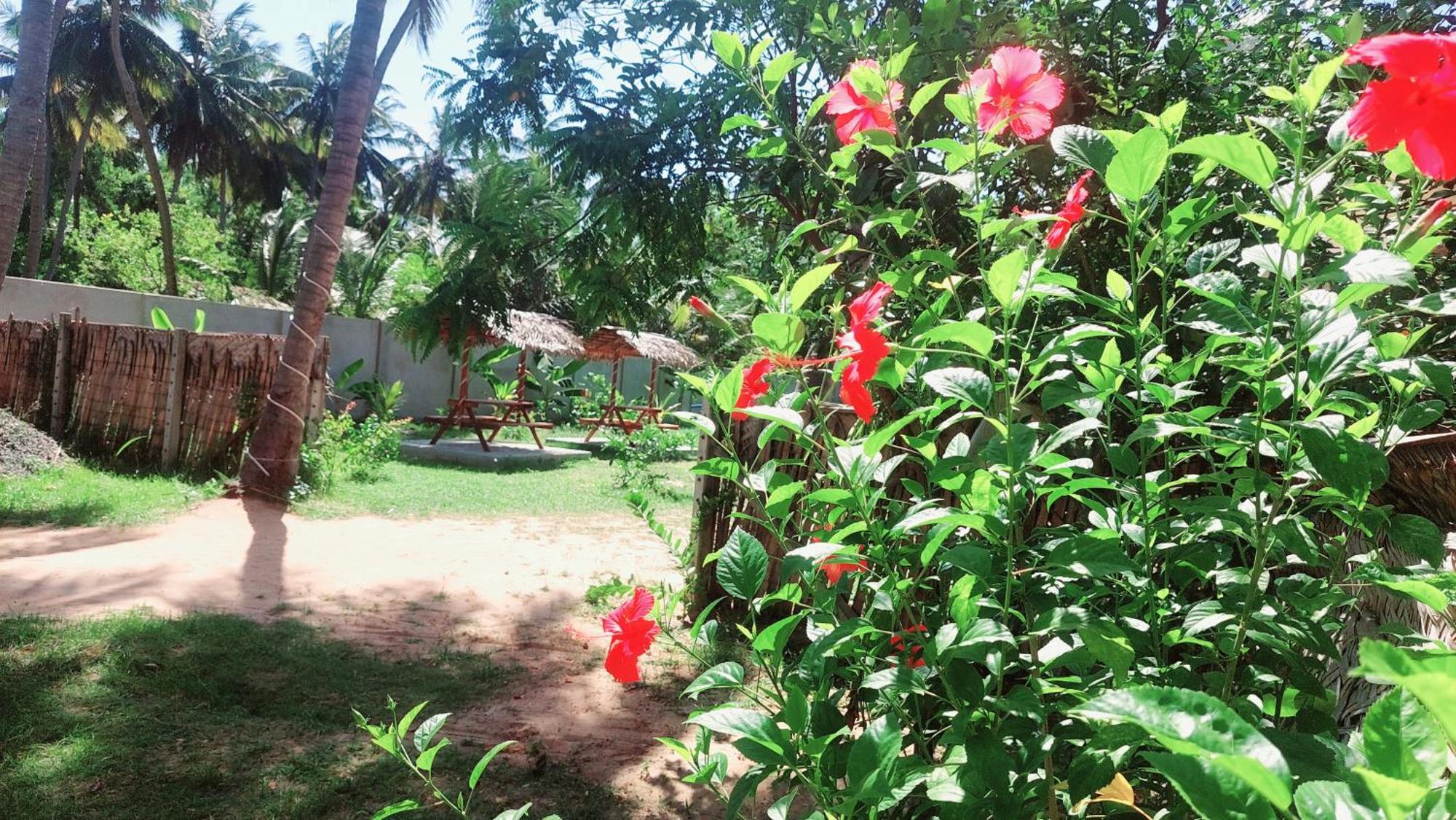 The Dream Inn Guesthouse Passikudah Batticaloa Eksteriør billede